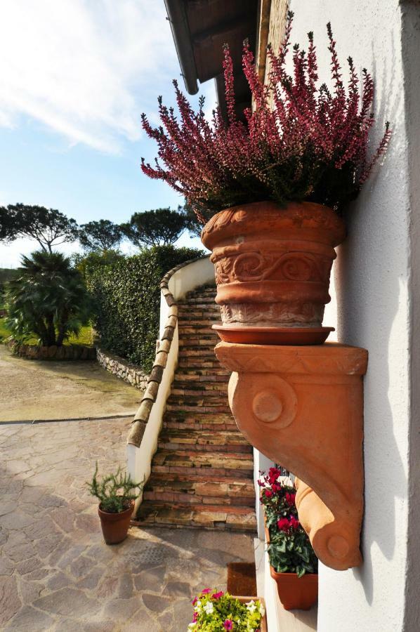 Pepe Guest House Roma Exterior foto