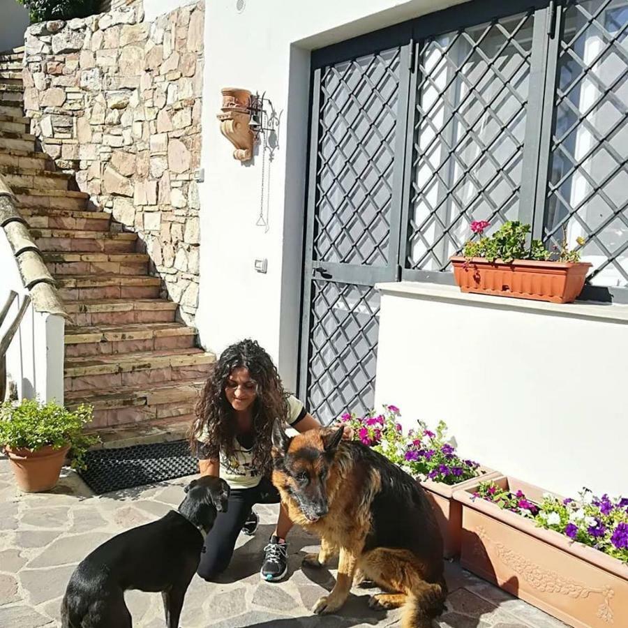 Pepe Guest House Roma Exterior foto